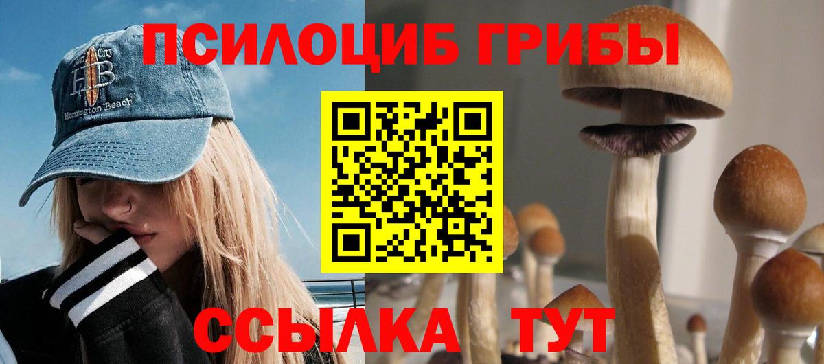 Псилоцибиновые грибы MAGIC MUSHROOMS  Вход с VPN  Гатчина 
