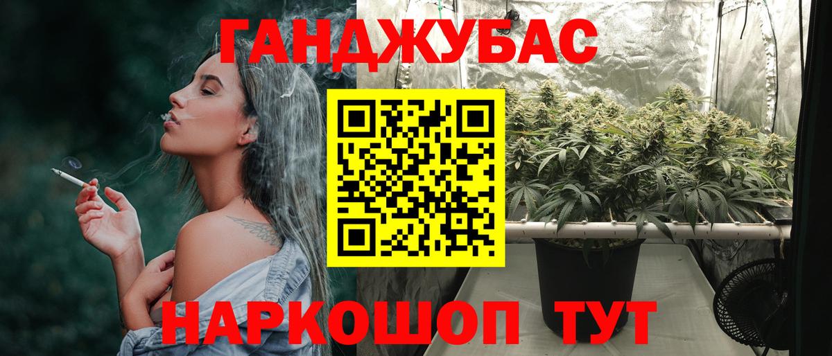 Бошки Шишки план Гатчина